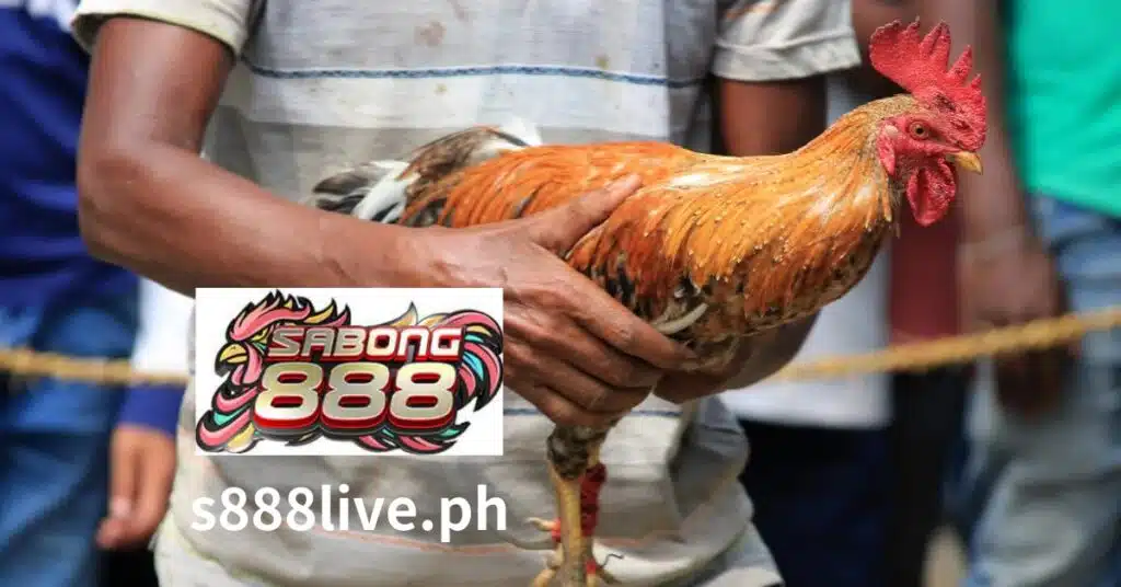 Ang Sabong ay isang sikat na isports ng sabong sa Pilipinas. Tinatayang mahigit 30 milyong sabong ang ginaganap sa bansa kada taon.