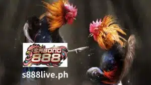 Ang online sabong ay nagbibigay sa mga user ng virtual na platform para manood at tumaya sa mga live na laban sa sabong.