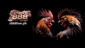 Ang tradisyunal na isport ng Sabong, na kilala bilang sabong, ay walang putol na nagbago sa isang kontemporaryong online na trend sa Pilipinas. Dahil sa pagyakap ng internet sa sinaunang sport na ito, mararanasan na ng mga mahilig sa sabong ang excitement ng sabong mula sa kaginhawahan ng kanilang mga tahanan.