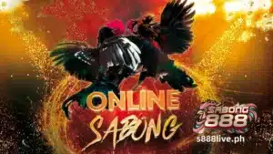 Ang Sabong (cockfighting) ay isang sikat na isport sa Pilipinas kung saan dalawang tandang ang naglalaban sa isang ring hanggang sa hindi na matuloy ang isa sa kanila. Bagama’t kontrobersyal ang isport dahil sa mga isyu sa animal cruelty, nananatili itong nakatanim na bahagi ng kulturang Pilipino at naging ilang siglo na. Kinilala pa nga ang Sabong bilang isang pambansang pamana ng kultura ng gobyerno ng Pilipinas.