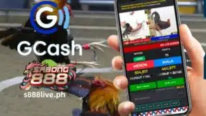 Kung gusto mong simulan ang paggamit ng GCash para sa online na pagtaya sa Sabong, napunta ka sa tamang lugar. Tuturuan ka ng S888 LIVE kung paano maglaro ng Sabong online gamit ang GCash at lahat ng kailangan mong malaman tungkol sa e-Sabong betting sa Pilipinas gamit ang paraan ng pagbabayad na ito.