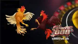 Ang S888 LIVE ay isang sikat na website ng pagsusugal sa Pilipinas. Sa platform na ito, ang mga user ay maaaring manood ng mga live na sabong at maglagay ng taya. Ang website ay user-friendly at angkop para sa parehong mga bago at karanasan na mga manlalaro. Maaaring sumali ang sinumang labindalawang taon at mas matanda (dalawampu't dalawa at mas matanda para sa ilang feature).