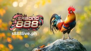 Ang sabong, na kilala bilang “Sabong” sa Pilipinas, ay isang sikat na isport na naging bahagi ng kultura ng bansa sa loob ng maraming siglo. Kung gusto mong matuto pa tungkol sa mundo ng Sabang sa Pilipinas at sa mga sikat na fighting cock breed tulad ng Little Blue Gamecock, napunta ka sa tamang lugar. Bisitahin ang S888 LIVE Philippines Sabang at tuklasin ang kaakit-akit na mundo ng sabong sa Pilipinas.