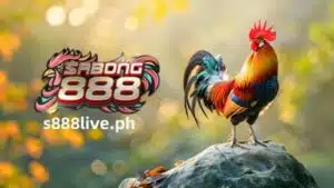 Ang sabong, na kilala bilang “Sabong” sa Pilipinas, ay isang sikat na isport na naging bahagi ng kultura ng bansa sa loob ng maraming siglo. Kung gusto mong matuto pa tungkol sa mundo ng Sabang sa Pilipinas at sa mga sikat na fighting cock breed tulad ng Little Blue Gamecock, napunta ka sa tamang lugar. Bisitahin ang S888 LIVE Philippines Sabang at tuklasin ang kaakit-akit na mundo ng sabong sa Pilipinas.