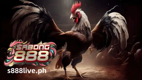 Sa gitna ng tradisyong Pilipinong nakakapagpatalsik ng balahibo, pinapasigla ng adrenaline, isang lahi ang naghahari：ang malalim na Bordeaux Red Gamecock. Mula sa kailaliman ng kasaysayan hanggang sa silver screen sa S888 LIVE, ang maalamat na tandang na ito ay naglalaman ng diwa ng Sabong, nakakabighaning mga manlalaro at manonood.