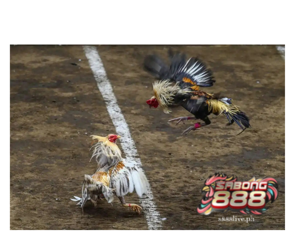 s888live Ang Nangungunang Online Casino sa Pilipinas